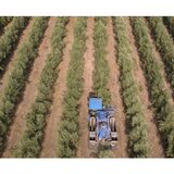 Σκάνδαλο ΟΠΕΚΕΠΕ: Οι ομάδες- "φαμίλιες" της Κρήτης και η "αγρότισσα" με το 1 εκ ευρώ