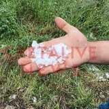 H xαλαζόπτωση διέλυσε τα πάντα - Τεράστιες ζημιές σε αμπέλια, ελιές, κηπευτικά!