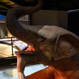 Podcast: Το Δεινοθήριο και η Μικρή Εξερευνήτρια από τη Σητεία