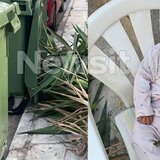 Άλιμος: Θρίλερ με το βρέφος που βρέθηκε δίπλα σε κάδο σκουπιδιών – Η γιαγιά του καταγγέλλει ότι της το άρπαξαν στην Ομόνοια