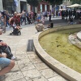 Σουβλάκι με θέα ... τον βούρκο στα Λιοντάρια!