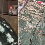 Άνω Λιόσια: Του έριξαν πάνω από 20 σφαίρες – Πώς σώθηκε ο οδηγός και η σύνδεση του με τη ρωσόφωνη μαφία