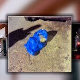 Ηράκλειο: Σε σταθερή κατάσταση το νεογέννητο αγοράκι που βρέθηκε πεταμένο στα σκουπίδια!