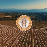 ΟΠΕΚΕΠΕ: Νέες παραιτήσεις στη ΝΔ- Παρελθόν ο διευθυντής του πολιτικού γραφείου του Γ. Κεφαλογιάννη