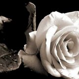 Λασίθι: Βαρύ πένθος για τον θάνατο της 43χρονης Ιωάννας