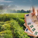 Αναβρασμός για τις επιδοτήσεις, κανείς δεν ξέρει...