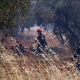 Πυρκαγιές στη Χίο: Σε κατάσταση έκτακτης ανάγκης το νησί για έναν μήνα