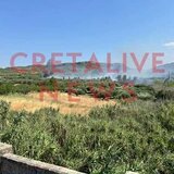 Ζημιές άφησε πίσω της η φωτιά κοντά στις Αγιές Παρασκιές