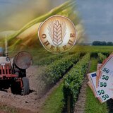 Σήμερα η πρώτη σε επίπεδο Κρήτης δίκη για τον ΟΠΕΚΕΠΕ με 104 κατηγορούμενους