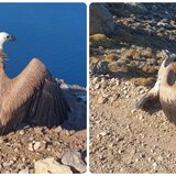 O "Αστερούσιος" ανέβηκε στον Άγιο Νικήτα, αλλά δεν ήταν ακόμη έτοιμος να πετάξει
