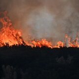 Ηράκλειο: Δύο αδέρφια ομολόγησαν ότι έβαζαν φωτιές - Ο ένας ανήλικος