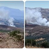 Η πυρκαγιά στην Καρκαδιώτισσα Ηρακλείου κινητοποίησε την Πυροσβεστική: "Σηκώθηκαν" και ελικόπτερα