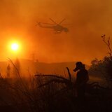 Μία σύλληψη για την πύρινη κόλαση στα Τεμένια - Πώς ξεκίνησε η καταστροφή!