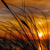 Ενισχυμένοι βοριάδες την Κυριακή στην Κρήτη - Αυξημένος κίνδυνος πυρκαγιάς σε όλo σχεδόν το νησί