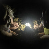 «Μάτια στο σκοτάδι»: ο μύθος του λευκού βαν και ο «κακός λύκος» της …αγίας ελληνικής οικογένειας