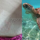 Νέο περιστατικό με χελώνα στο Μαράθι