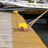 Συνελήφθησαν ο πλοίαρχος και ο Α' μηχανικός του Blue Star Χίος για τον θάνατο του 20χρονου Τάσου