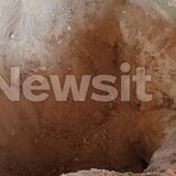 Βοιωτία: Έτσι έγινε η απάτη με τη θαμμένη μητέρα στην αυλή