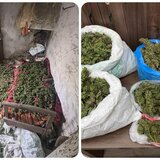 Οικογενειακή μπίζνα η υπόθεση με τα 14 κιλά κάνναβης στο Αμάρι