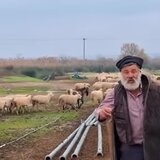 Κατέρρευσε ο κτηνοτρόφος που αποχαιρέτησε με δάκρυα τα πρόβατά του - Στο νοσοκομείο με συμπτώματα εγκεφαλικού