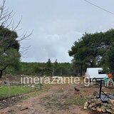 Τραγωδία στη Ζάκυνθο: Κλιμάκιο από την Πάτρα θα αποφασίσει αν θα θανατωθεί το πιτ μπουλ που κατασπάραξε τον δίχρονο