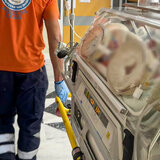 Μάχη ζωής για 5 ημερών αγγελούδι στην ΜΕΘ νεογνών του Βενιζελείου