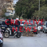 Σαρώνουν οι νοτιάδες: Δέντρο έπεσε πάνω σε ΙΧ, κλαδί "προσγειώθηκε" σε αγροτικό - "Καμπανάκι" για αιωρούμενα σωματίδια