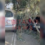 Θυελλώδεις άνεμοι στην Κρήτη: Δέντρο έπεσε πάνω σε σταθμευμένα οχήματα 