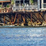 Στο «φως» σημαντικές αρχαιότητες στη Χερσόνησο - Καθυστερήσεις στα έργα στο παραλιακό μέτωπο