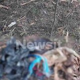 Θρίλερ με το ακέφαλο πτώμα στη Χαλκιδική: «Εκεί που βρέθηκε δεν πάει εύκολα άνθρωπος»