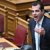 Πλεύρης: Eξετάζουμε το ενδεχόμενο απαγόρευσης της μπούρκας