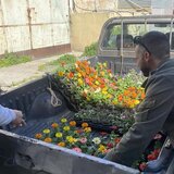 Άγιος Σύλλας: Γέμισαν την καρότσα με λουλούδια και τα πρόσφεραν πόρτα-πόρτα στις γυναίκες του χωριού 