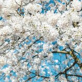 Αίθριος ο καιρός την Τετάρτη 4 Μαρτίου στην Κρήτη