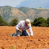 Πρώτη «καμπάνα» για "μαϊμού" βιολογικά προϊόντα - Αναστολή έξι μηνών σε εταιρία πιστοποίησης στην Κρήτη