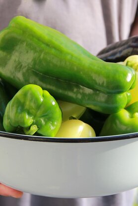 Τι έδειξε νέα μεγάλη έρευνα για τον καρκίνο και τους χορτοφάγους